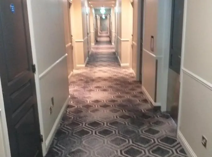 فندق The Parkavon 3*